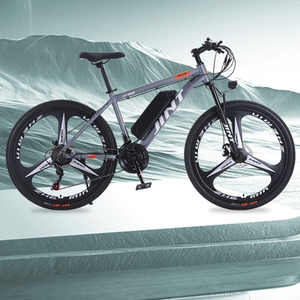 App 2 Qualité Roue Vélos Néerlandais Cas Chariot Fat Batteries E Cruiser Conversion Vélo Électrique Sonnette - Product Image 1