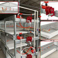 Équipement d'élevage avicole de type H entièrement automatique au design moderne, cages pour poulets de chair
