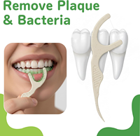 Fil dentaire en paille de maïs et de blé 100 % naturel et biodégradable, options double et simple brins, personnalisation OEM/ODM