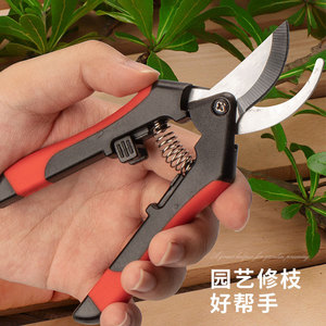 Sécatrices en acier inoxydable, outils de jardin multifonctionnels pour la cueillette des fruits dans les vergers - Product Image 3