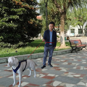 Correa de nailon multifunción para entrenamiento canino, correa de nailon 6 en 1 para entrenamiento de perros, manos libres, respetuoso con el medio ambiente, para todas las estaciones - Product Image 5