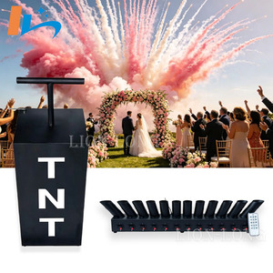 Cañón de confeti en forma de abanico con 12 disparos de fuegos artificiales de colores, encendido por TNT, para revelación de género, bodas, escenarios y fiestas - Product Image 1