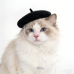 JXANRY <span class=keywords><strong>2026</strong></span> Nuevo Estilo Boina para Mascotas, Perros y Gatos, Disfraz Festivo, Ajustable, de Lana Tweed, Estilo Artista, Múltiples Colores, Todas las Estaciones - Product Image 4