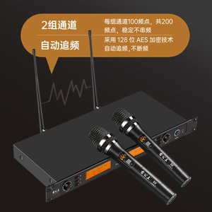 Micrófono Inalámbrico Leigongwang Cr890 con Receptor UHF, Uno a Dos, para Karaoke en Casa, Actuaciones en Escenario, KTV - Product Image 5
