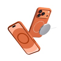 Étui de téléphone en silicone liquide électro-plaqué OEM pour 17 Pro Max 12 13 14 15 16 17 Air Coques arrière