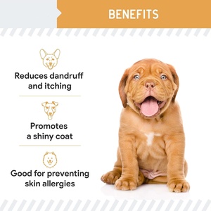 Il supporto per masticare morbido per guadagno muscolare personalizzato all'ingrosso per tutti i cani migliora lo sviluppo muscolare migliora la composizione corporea - Product Image 6