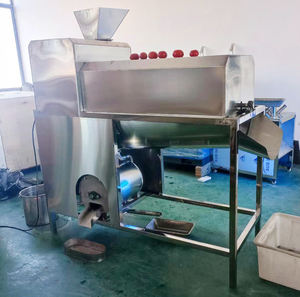 Chine Tamarind Grenade Pastèque Castor Seed Remover Machine - Product Image 2