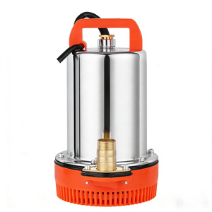 Portable 12V-60V Stainless Steel <b>Submersible</b> <b>Pump</b> for Domestic & Farm Irrigation Water-Saving System <b>Submersible</b> Design fo - Product Image 3