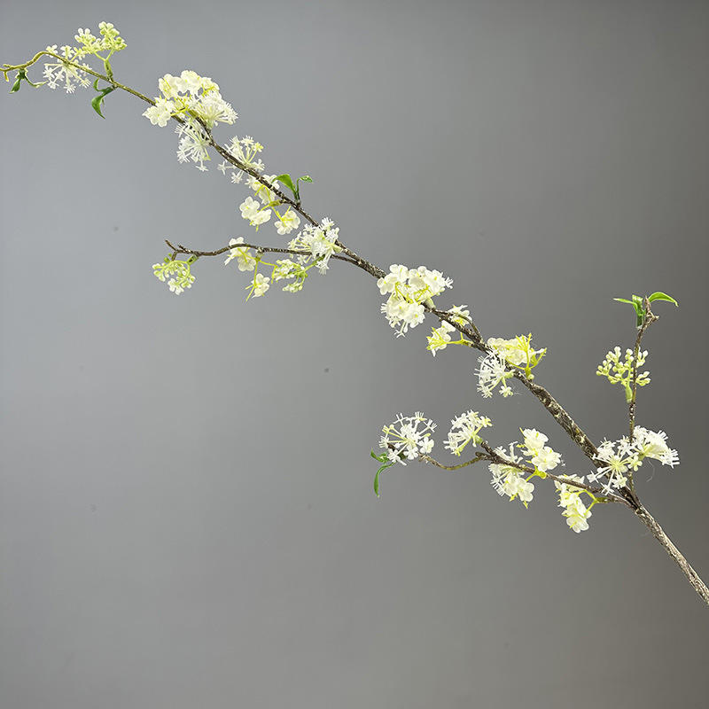 กำหนดเอง