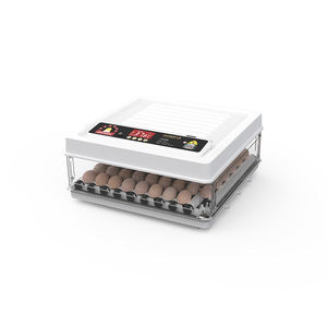 ตู้ฟักไข่ไก่ขนาดเล็ก 64 ฟอง แบบเติมน้ำอัตโนมัติ พร้อมถาดไข่ปรับระดับได้ ขาย - Product Image 2