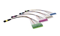 Kabel Patch Trunk 12-Fiber OM3/OM4 MPO/MTP 8/12/24F untuk Pusat Data dengan Dukungan 5G POE TCP GPRS