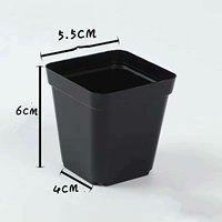 Barquette en plastique jetable pour la culture de micro-pousses succulentes, avec procédé de thermoformage, pour l'agriculture
