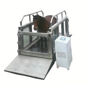 US / EU / UK / AU optional Horse Underwater Treadmill | Veterinary Equine Hydrotherapy & Rehabilitation Water Treadmill - Product Image 6
