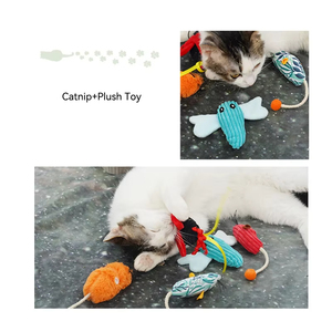 Nouveaux jouets cataire caché cataire jouet résistant aux morsures dents meulage interactif chaton en peluche chat jouet fournitures pour animaux de compagnie - Product Image 2