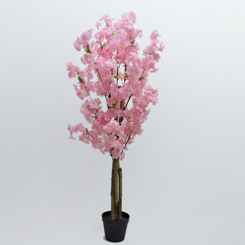 P240844XS-120 Pink