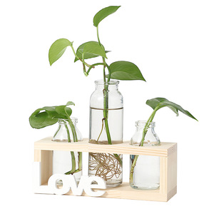 <span class=keywords><strong>Vase</strong></span> de table en verre moderne scandinave créatif <span class=keywords><strong>avec</strong></span> cadre en <span class=keywords><strong>bois</strong></span>, verrerie transparente pour plantes hydroponiques et décoration de mariage - Product Image 5