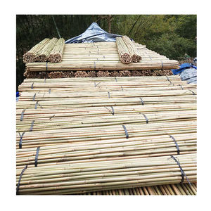 <span class=keywords><strong>2m</strong></span> 18-20mmPiquets de plantes Bâtonnets de <span class=keywords><strong>bambou</strong></span> naturel de jardin pour intérieur et extérieur pour tomates, haricots, plantes <span class=keywords><strong>en</strong></span> <span class=keywords><strong>pot</strong></span> - Product Image 3