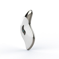 Masseur facial Gua Sha en acier inoxydable, étanche, à micro-courant, technologie galvanique, pour usage domestique