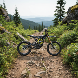 2026 Negro 8000W Shock <span class=keywords><strong>de</strong></span> Alto Rendimiento para Light Bee X 61-80km/<span class=keywords><strong>h</strong></span> - Product Image 2