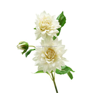 Flores de Seda Grandes y Populares, Crisantemo Blanco, Dalia Mexicana, Zinnia, <span class=keywords><strong>Margarita</strong></span> de 100 cm para Decoración de Funerales, Bodas, Hoteles, Tiendas y Hogares - Product Image 1
