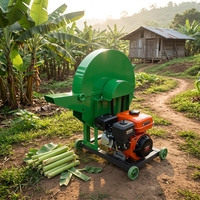 Broyeur polyvalent domestique pour bananiers et plantains, à moteur thermique, pour la coupe des pseudostèmes de bananiers et la fabrication de fourrage