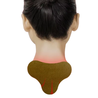 Patch Cervical Confortable pour le Bureau à l'Armoise, OEM, Marque Privée, Faible MOQ, Vente en Gros, Fournisseur en Vrac, Dropshipping, pour Femmes, Hommes, Adultes, Douleurs Dorsales