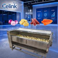 Aardappelwas- en schilmachine, commerciële groenteverwerkingsapparatuur voor snackfabriek, productielijn voor aardappelchips