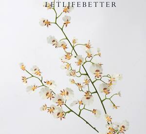 AR-1071 ZUOYI vero tocco panno 80CM danza artificiale orchidea vita dei fiori come fiori per il matrimonio - Product Image 5