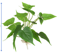 Pot Tanaman Artifisial Mkono Paper 11 inci, Modern Ramah Lingkungan, Hijau Abadi, Dekorasi Pernikahan, Paskah, Rumah, Kantor, Meja/Kamar (Abu-abu)