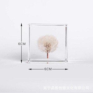 บล็อกดอกแดนดิไลออนอะคริลิก 6 ซม. 8 ซม. ของตกแต่งบ้าน ของขวัญดอกไม้สุดสร้างสรรค์ - Product Image 5