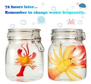 Ensemble d'animaux marins extensibles, créatures aquatiques magiques, animaux aquatiques géants qui grandissent dans l'eau, fournitures de fête pour le plaisir - Product Image 1