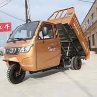 Tricycles de fret à essence 250cc de luxe, neufs, pour adultes, exportés par l'usine chinoise