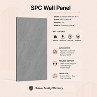 Panneau mural moderne européen en PVC imperméable et ignifuge, garantie 3 ans, décoration murale pour appartement, salle de bain, hôtel, avec motifs graphiques