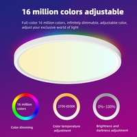 Plafonnier LED intelligent ultra-plat RGBIC RGB+CCT Tuya WiFi ZigBee 24W AC100V AC240V CE SAA approuvé pour la maison et le salon
