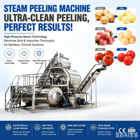 Industriële automatische stoomschiller voor fruit en groenten, hoogrendements voedselverwerkingsmachine