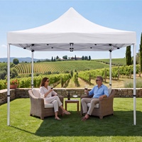 Tente d'exposition extérieure promotionnelle, double toile Oxford, polyester, portable, pliable, imperméable, durable, toutes saisons, écologique