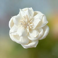 Diffuseur de parfum en roseau de 8-9 cm de diamètre, fleurs en sola avec corde en coton, fleurs artisanales en sola, fleurs en bois sola