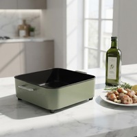 Poêle à frire électrique chauffante DC 24V antiadhésive, ustensile de cuisson extérieur 240W, plaque de cuisson pour camping