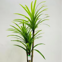 Plante Artificielle Fougère Asperge en Pot, Arbre Vert Artificiel pour la Décoration Intérieure de la Maison, Hôtel, Restaurant, Bureau, Aménagement Paysager, Taille Personnalisée Disponible