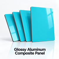 Panneau composite en aluminium brillant FEVE Coated Champagne 3mm 1220x2440mm pour façades de magasins