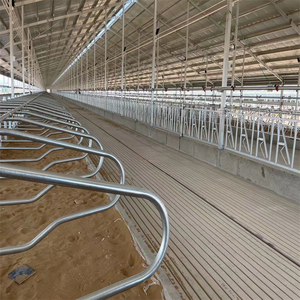 Precio de fábrica, equipo de cría de vacas, establo libre, establos lecheros, cubículos cómodos para vacas para granja lechera - Product Image 2
