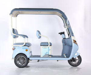 2025 nouveau 3 roues 1000W Scooter électrique corps ouvert 48V loisirs Tricycle Mini <span class=keywords><strong>moto</strong></span> électrique Ha Niu No.7 - Product Image 4
