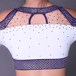 Uniforme de pom-pom girl sur mesure OEM All-Star pour compétition - Prix d'usine - Ensemble luxueux de haut court à manches longues et jupe en cristal pour filles - Product Image 5