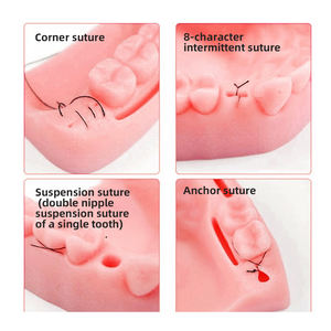 Profesyonel tıbbi prosedürler için dikişsiz dikiş sütür seti komple sütür seti hassas kilidini - Product Image 5