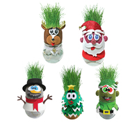 Mini Pot de plantes magique, poupée de tête d'herbe d'intérieur plante en Pot jardin aménagement paysager terrasse bricolage poupée en Pot avec cheveux d'herbe