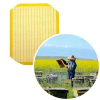 Queen Excluder Plastic Bee Hive Box for Beekeeping