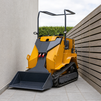 Chargeuse compacte sur chenilles T390, mini-chargeuse compacte à chenilles, carrosserie étroite de 955 mm, garde au sol de 219 mm, chargeuse sur chenilles à essence pour travaux en espace restreint