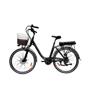 Bicicletta Elettrica da Donna Popolare con Motore 36V 250W, Pneumatici 700C*38 e Grande Cestino - Product Image 1