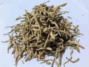 Free Sample Lonicera Japonica Extract Chlorogenic Acid Powder Honeysuckle Flower Extract
