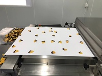 Bron Fabrikant Mango Gedroogd Fruit Complete Productielijn Mango Verwerkingsfabriek Speciale Machine Ondersteuning Oem